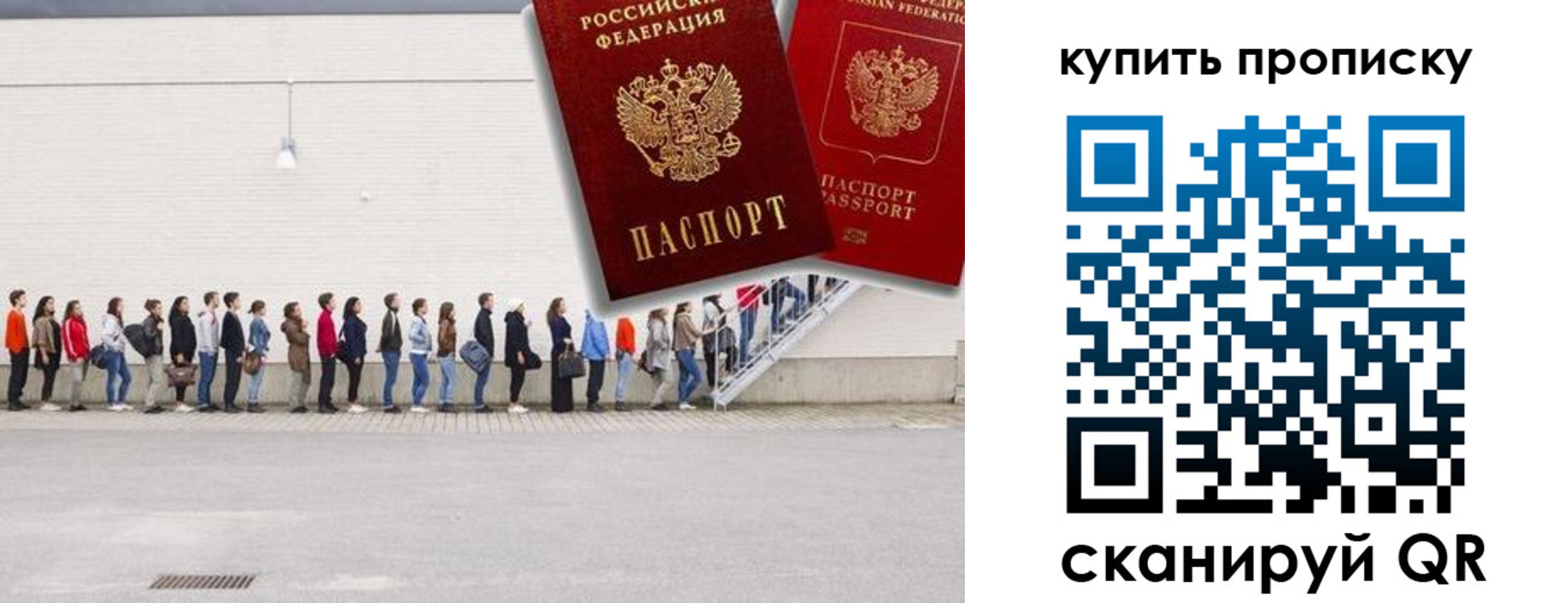 прописка штамп в Тосно